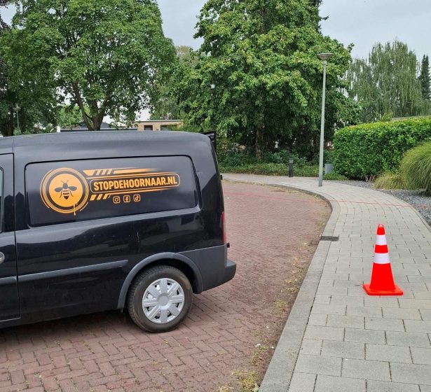 Aziatische hoornaar bestrijding Zuid-Limburg